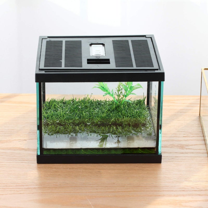 crapelles Small Glass Frog Terrarium Kit, 7.8x7.8x5.9'' for Tadpole, Amphibians, Insects Enclosure, Praying Mantis Habitat, with Green Artificial Turf Pad (excluding Animals) - Image 1